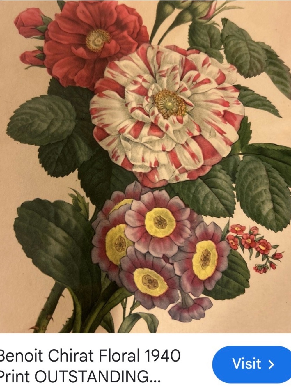 Vintage Floral Botanical Print in Brown Frame - Red, Pink, Green - Picture 10 of 11